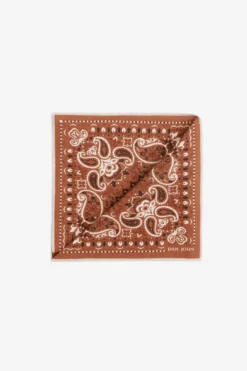 Pochette disegno cashmere arancio